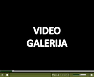 Izrada_video_galerija